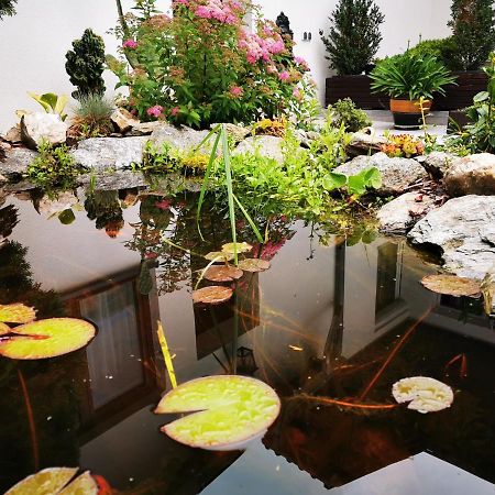 ​Gaestehaus Frans-Jozef Moenichkirchen Ngoại thất bức ảnh